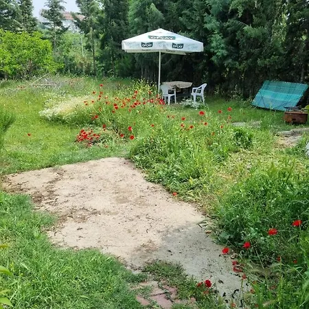 Rainfort Nar Guemuescay Denizli (Denizli)